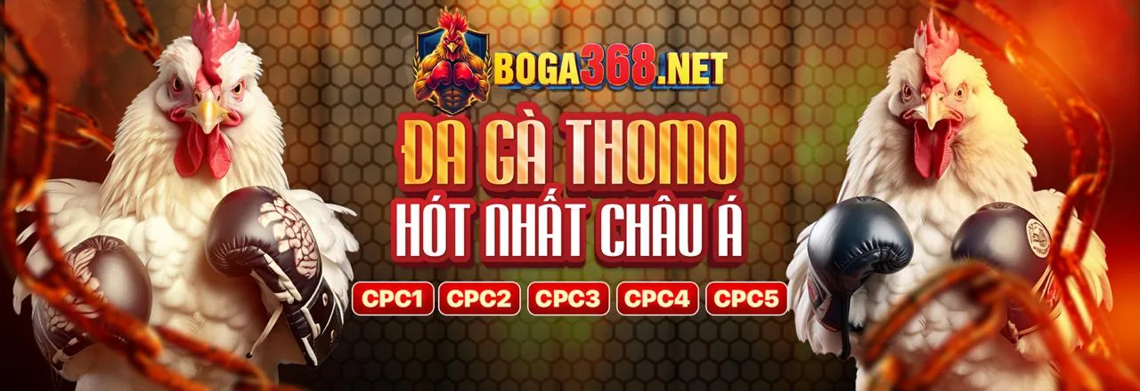 Hình ảnh nền tảng BJ66 Đá Gà