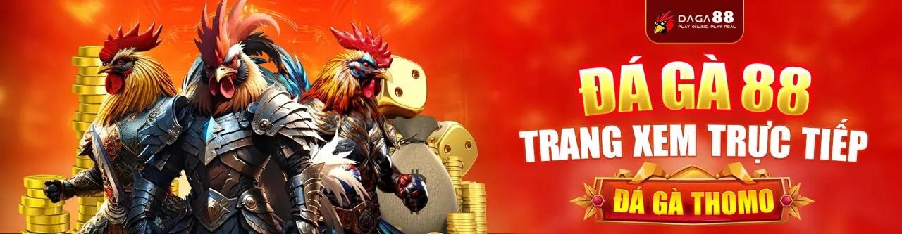 Sân đấu đá gà trực tuyến BJ66