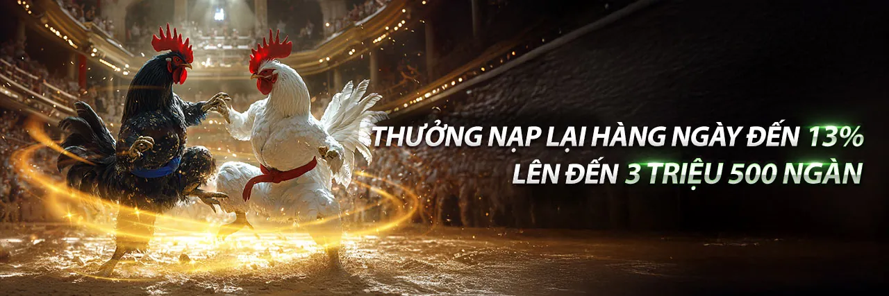 BJ66 Đá Gà Trực Tiếp - Trải nghiệm cá cược đỉnh cao